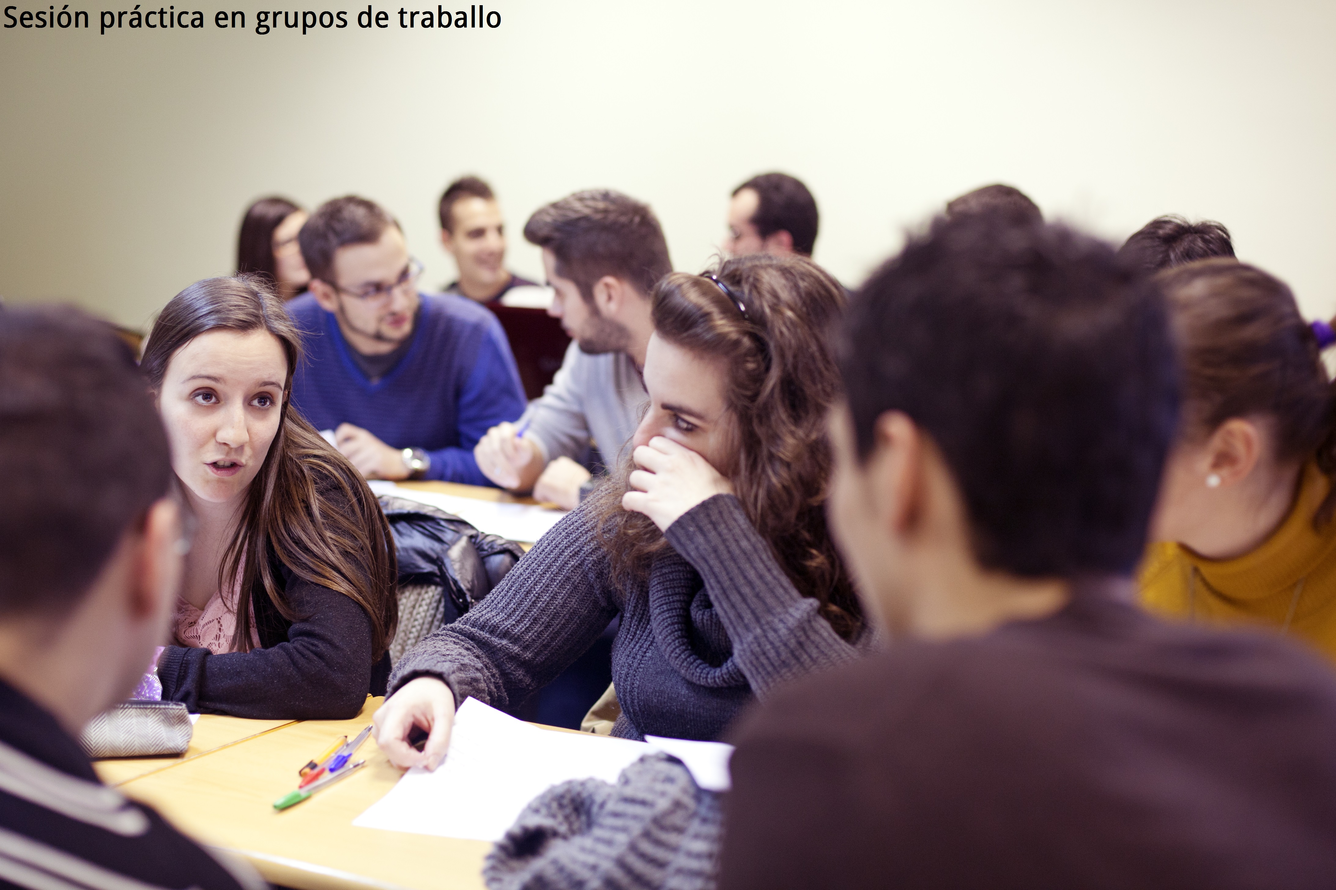 Grado en Ingeniería en Organización Industrial - EEI